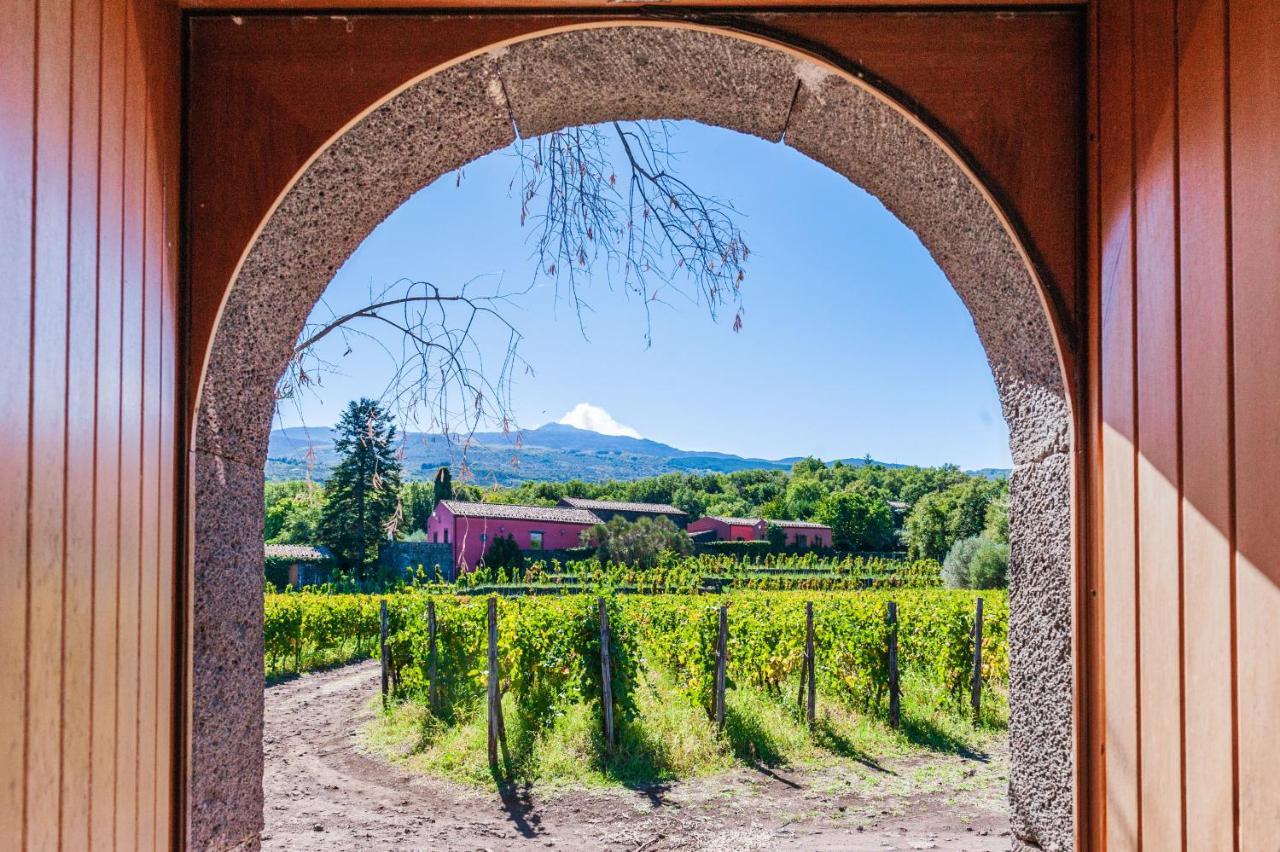 Terrazze Dell'Etna - Country Rooms And Apartments Рандаццо Экстерьер фото