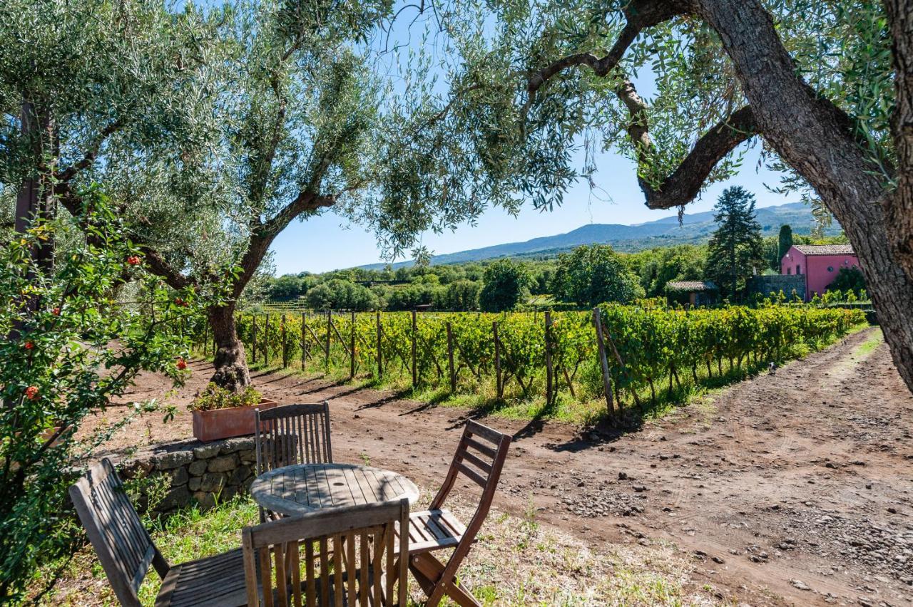 Terrazze Dell'Etna - Country Rooms And Apartments Рандаццо Экстерьер фото