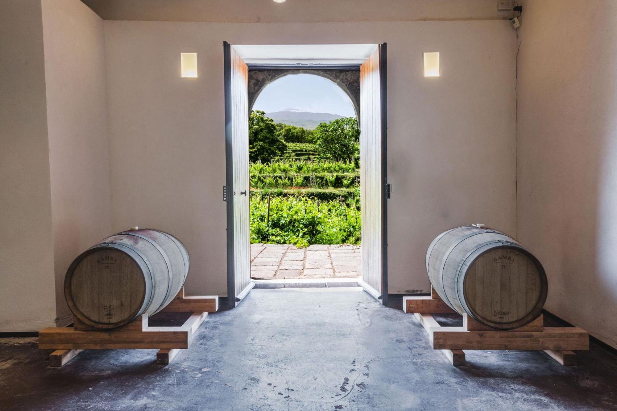 Terrazze Dell'Etna - Country Rooms And Apartments Рандаццо Экстерьер фото