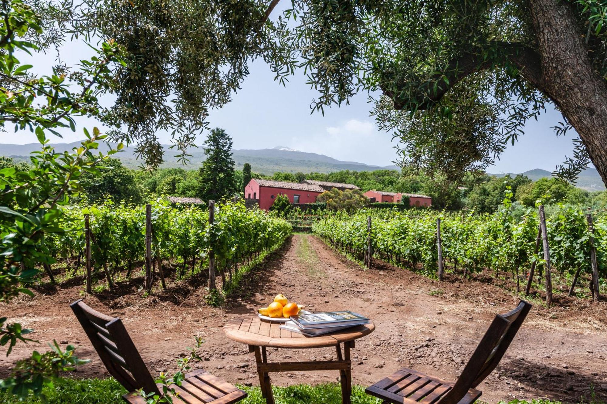 Terrazze Dell'Etna - Country Rooms And Apartments Рандаццо Экстерьер фото